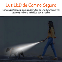 Correa Con Luz LED - Perros y Gatos