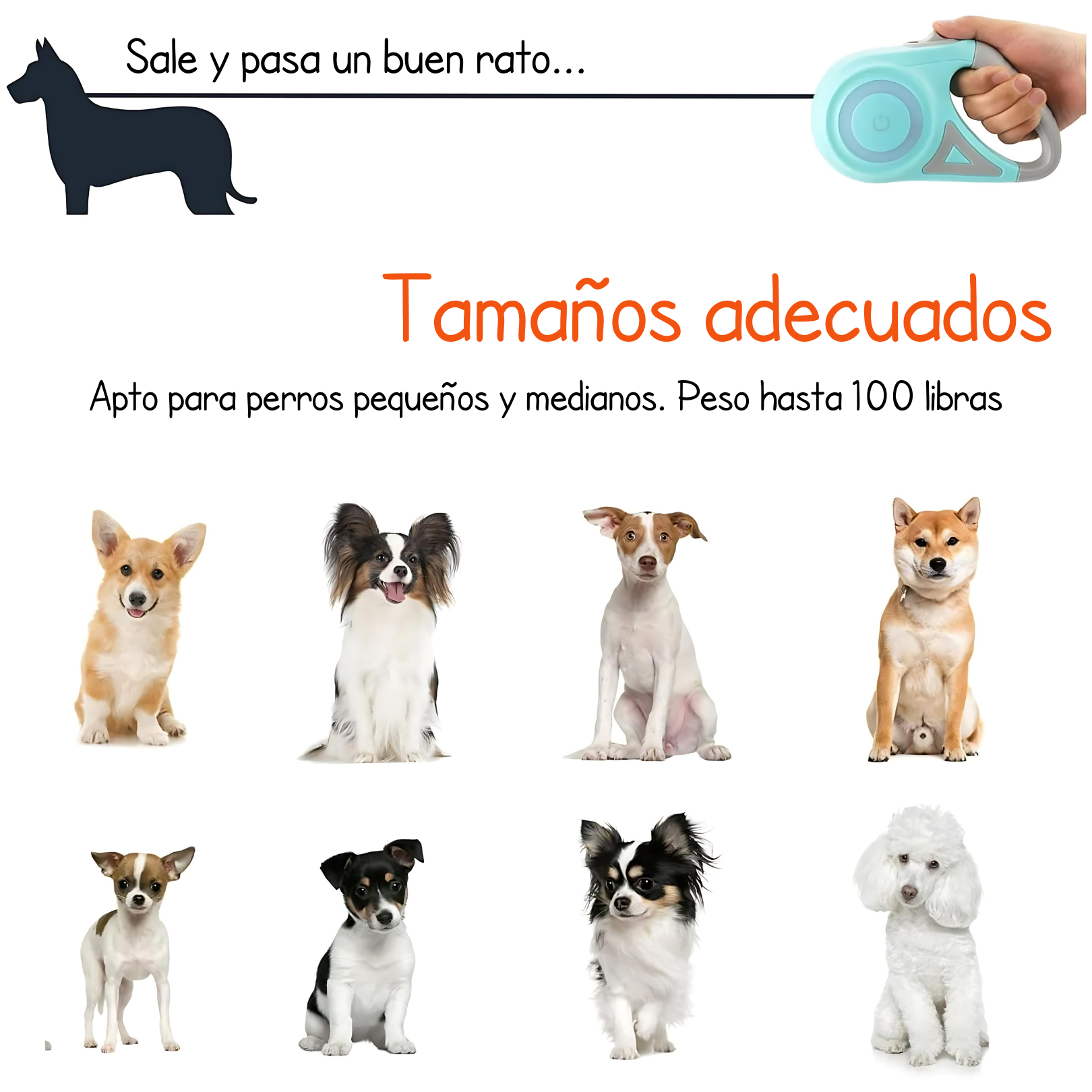 Correa Con Luz LED - Perros y Gatos