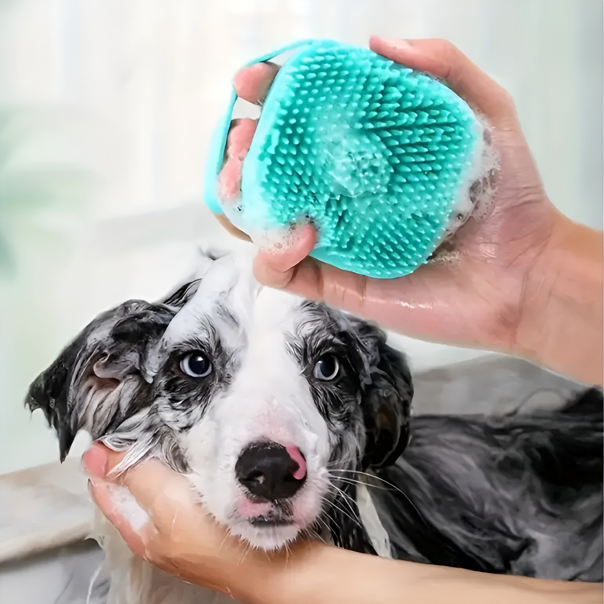 Cepillo de Baño con Recipiente - Perros y Gatos